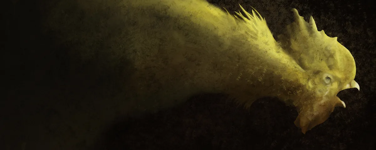 Cover | Обложка | כריכה