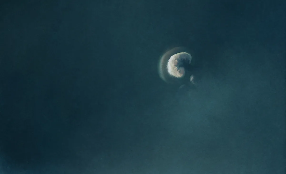 Genesis | Зарождение | היווצרות