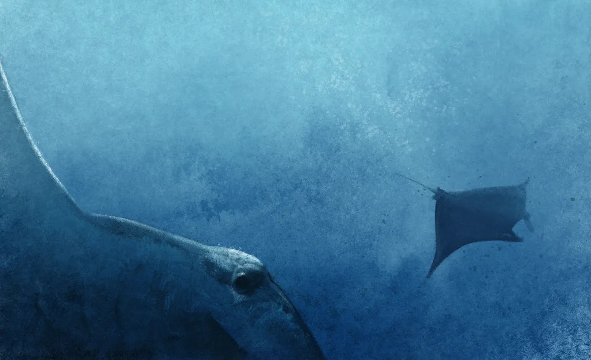 Sing On | Пой Дальше | שיר עוד